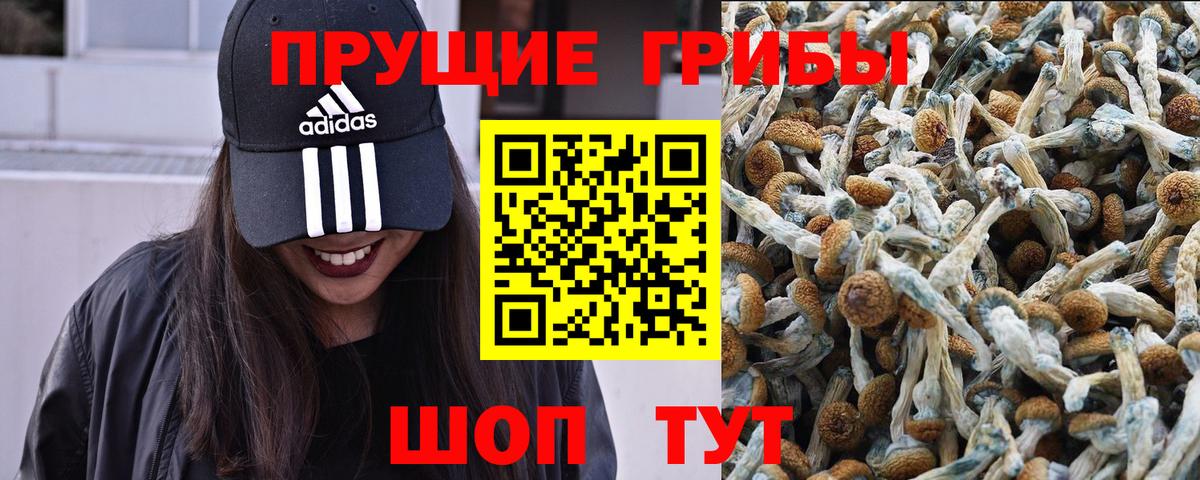 Барабинск  купить наркоту  Вход с VPN  Псилоцибиновые грибы мицелий 